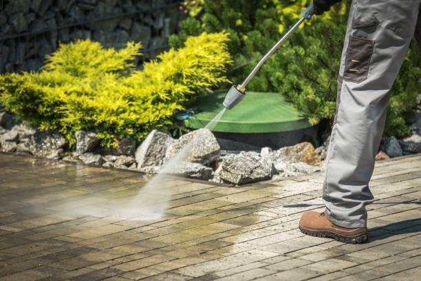  Laurel, DE Pressure Washing Pros
