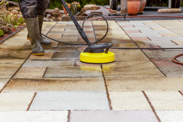 Best Driveway Pressure Washing  in Laurel, DE