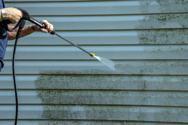 Animal Enclosure Cleaning in Laurel, DE